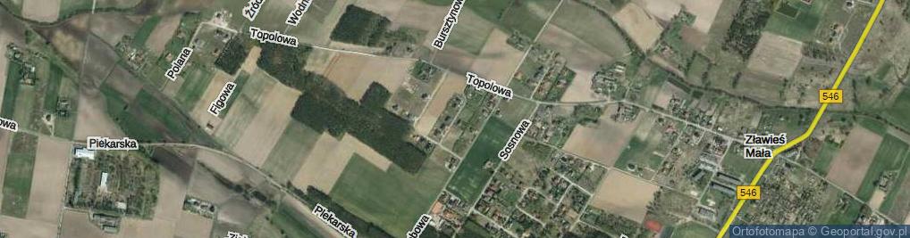 Zdjęcie satelitarne Skowronkowa ul.